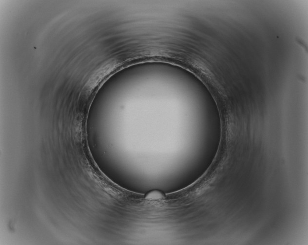 X0000103440977200809191721
