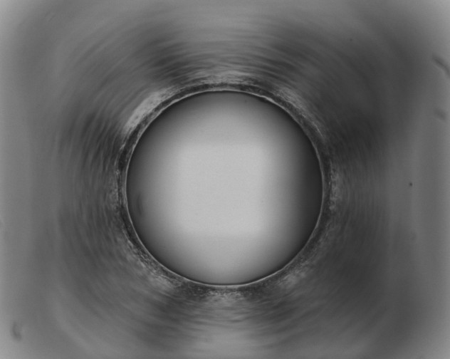 X0000103440978200809191721