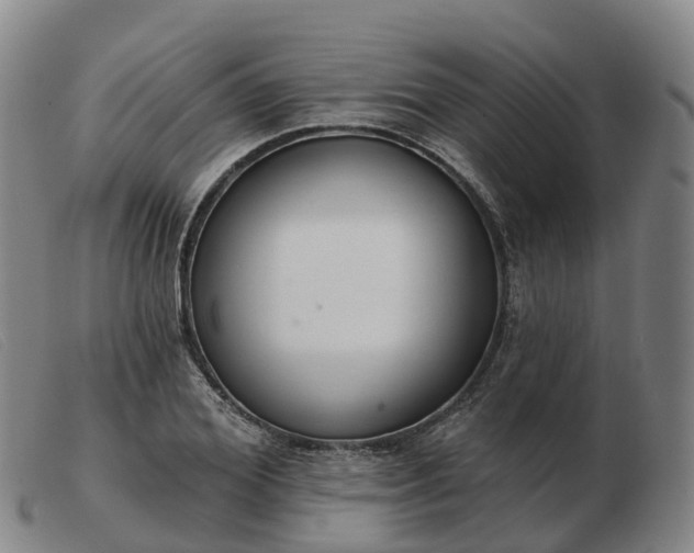 X0000103440980200809191721