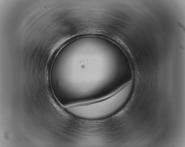 X0000103440981200809191721