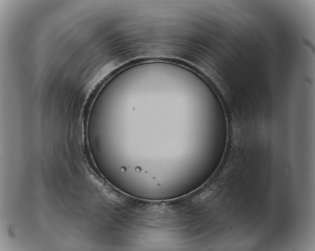 X0000103440982200809191721