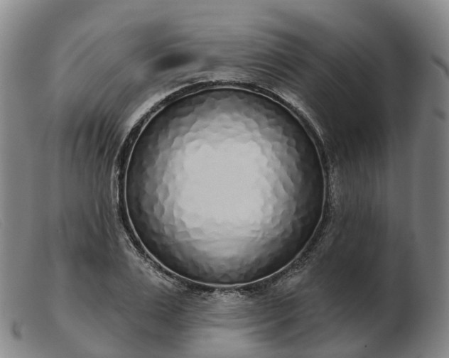 X0000103440983200809191721