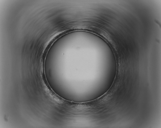 X0000103440984200809191721