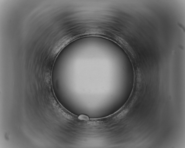 X0000103440985200809191721