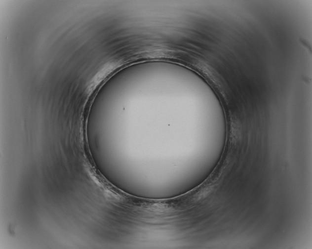 X0000103440986200809191720