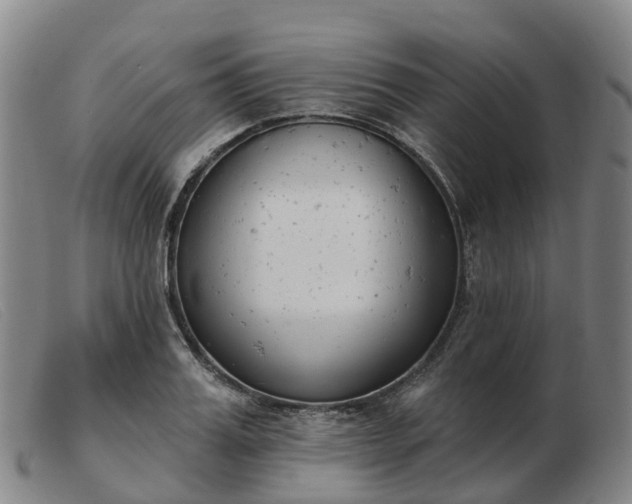 X0000103440987200809191720