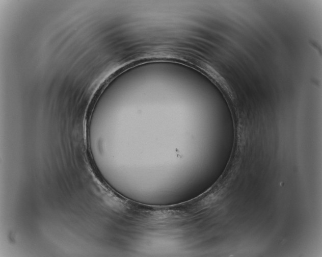 X0000103440988200809191720