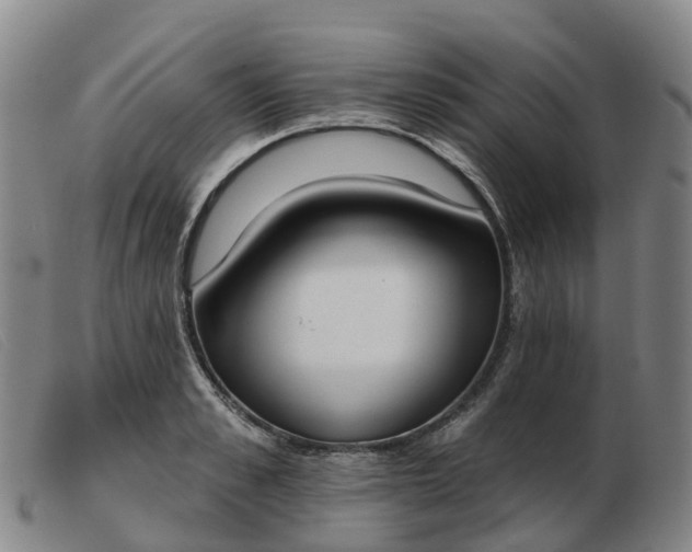 X0000103440989200809191720