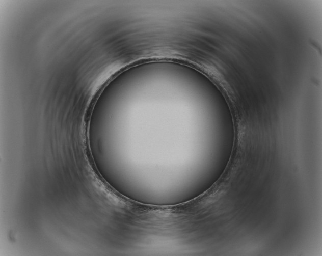 X0000103440990200809191720
