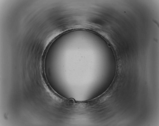 X0000103440991200809191720
