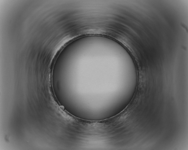 X0000103440992200809191720