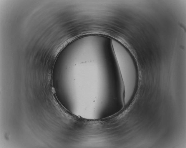 X0000103440993200809191720