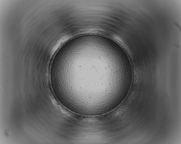 X0000103440994200809191720