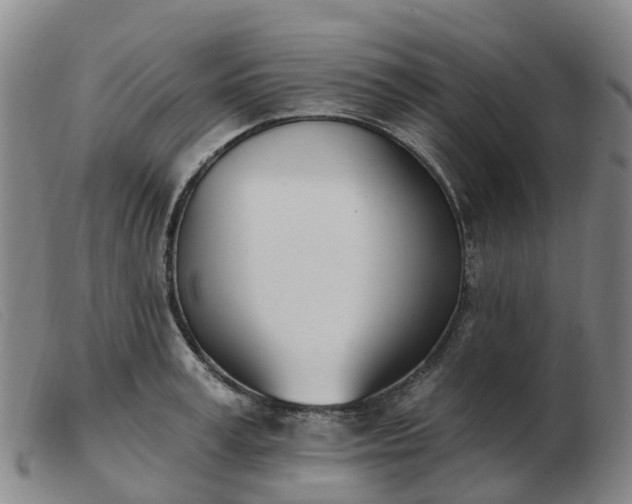 X0000103440995200809191720