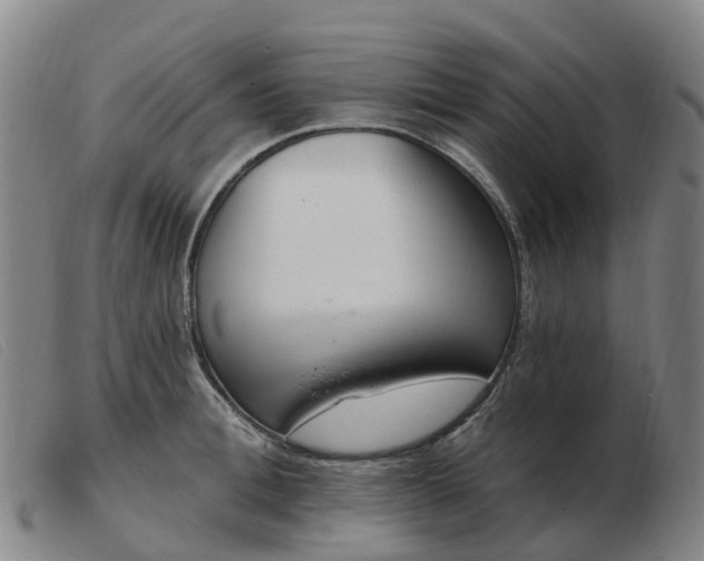 X0000103440996200809191720