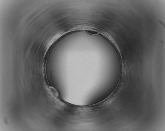 X0000103440997200809191720