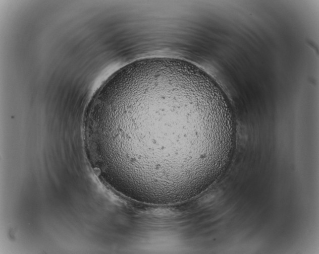 X0000103440998200809191720