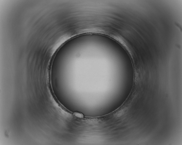 X0000103440999200809191720