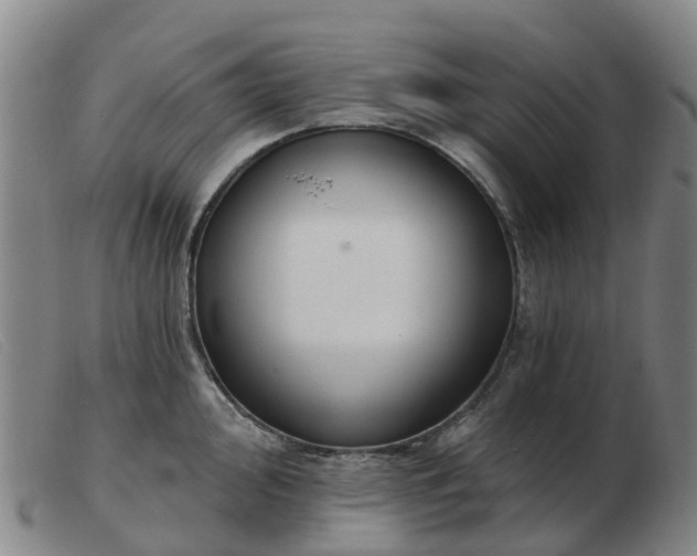 X0000103441000200809191720