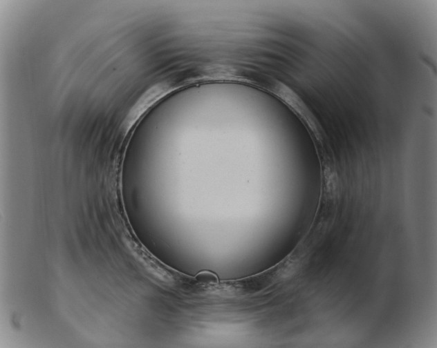 X0000103441002200809191720