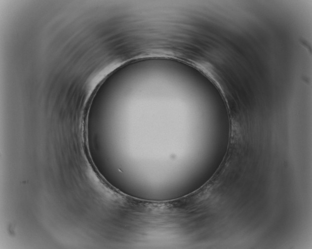 X0000103441003200809191720