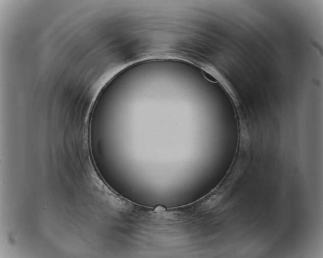 X0000103441004200809191720