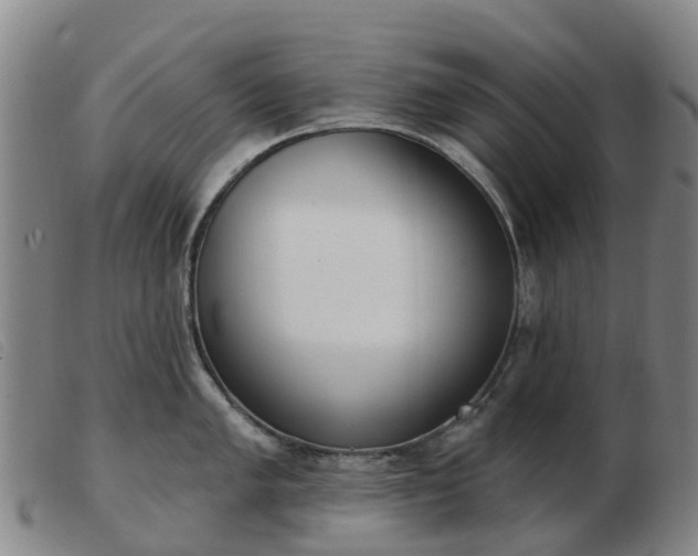 X0000103441005200809191720