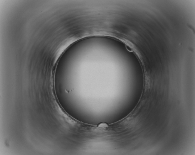 X0000103441006200809191720
