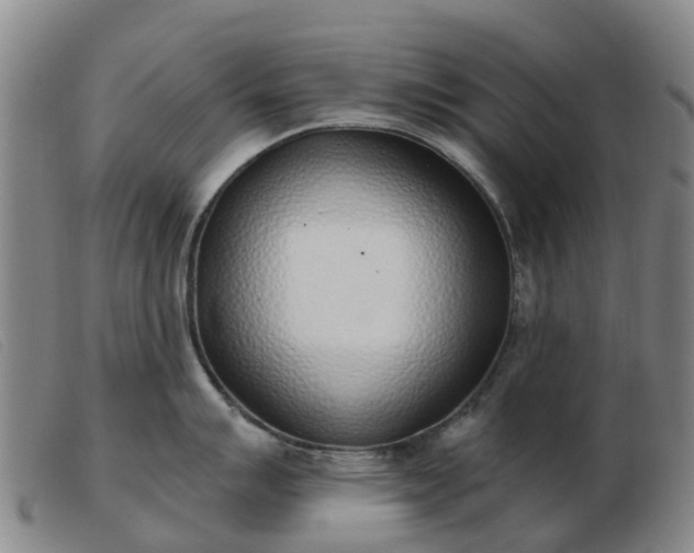 X0000103441007200809191720