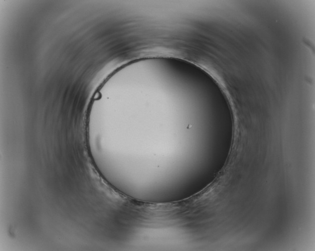X0000103441008200809191720
