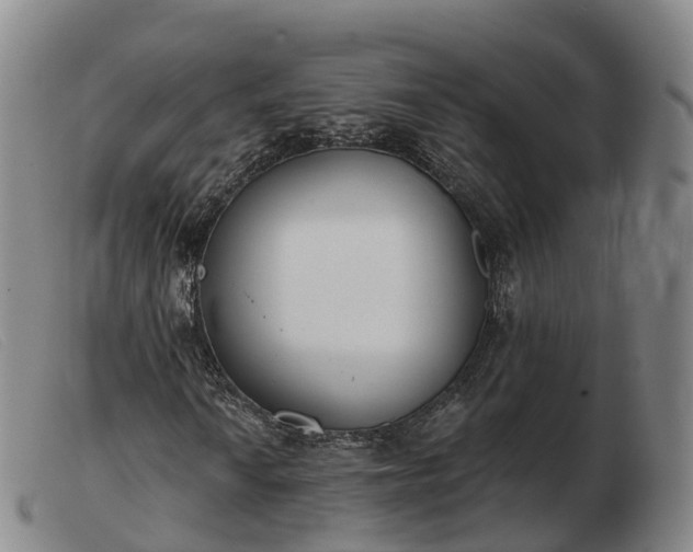 X0000103441010200809191719