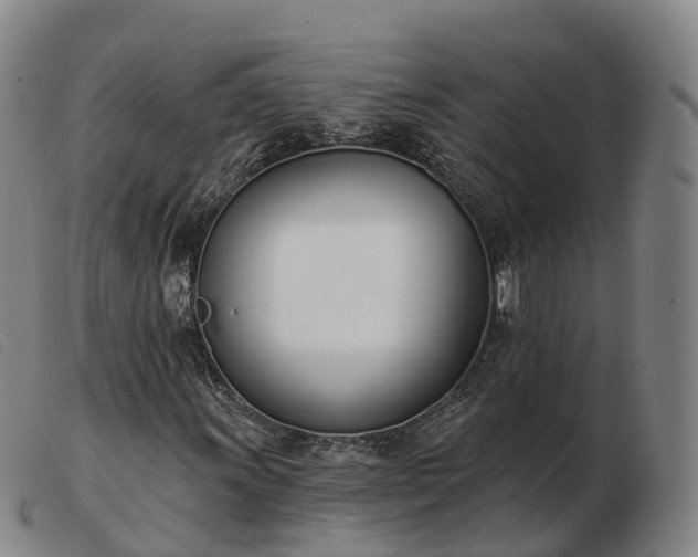 X0000103441011200809191719