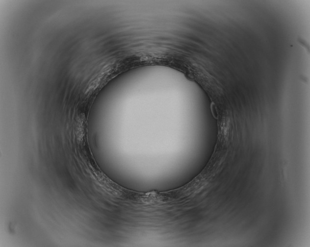 X0000103441012200809191719