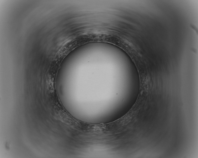 X0000103441013200809191719