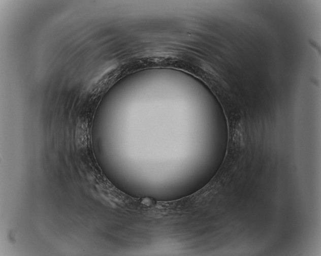 X0000103441014200809191719