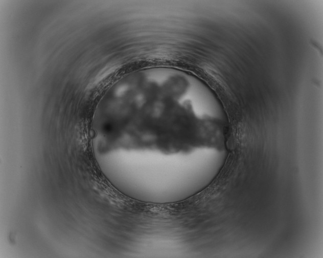 X0000103441015200809191719