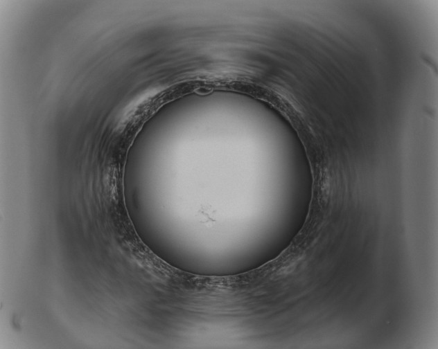 X0000103441016200809191719