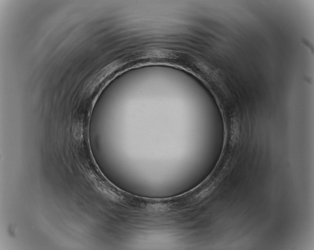 X0000103441017200809191719