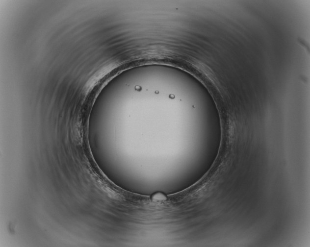 X0000103441018200809191719