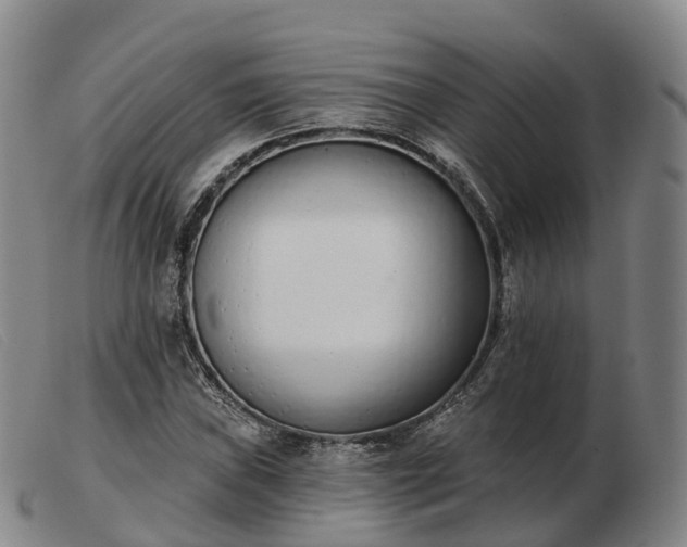 X0000103441019200809191719