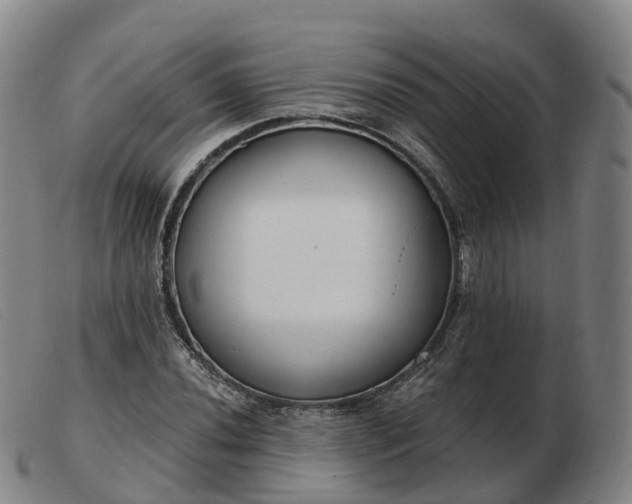X0000103441020200809191720