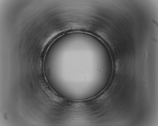X0000103441021200809191720