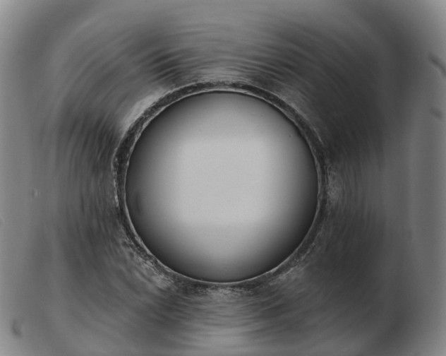 X0000103441022200809191720