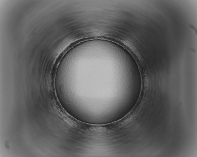 X0000103441023200809191720