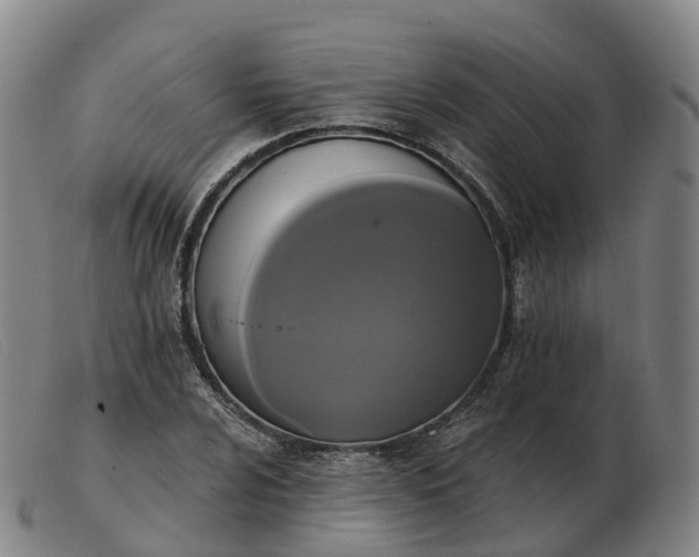 X0000103441024200809191720