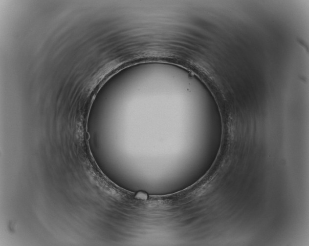 X0000103441025200809191720