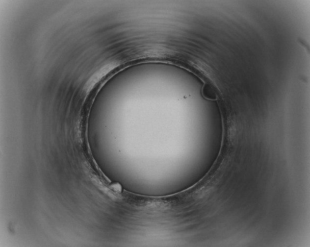 X0000103441026200809191720