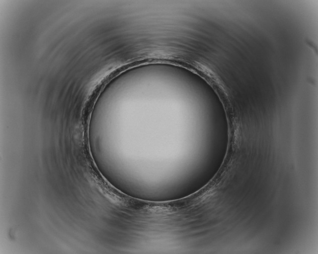 X0000103441027200809191720