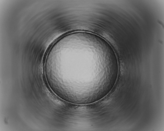 X0000103441028200809191720