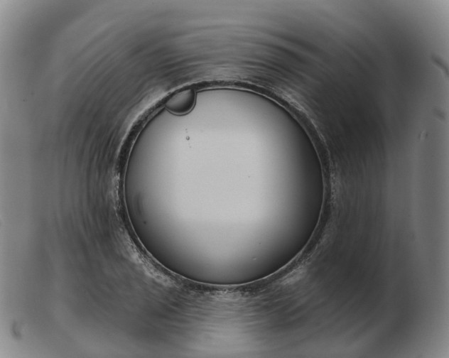 X0000103441029200809191720